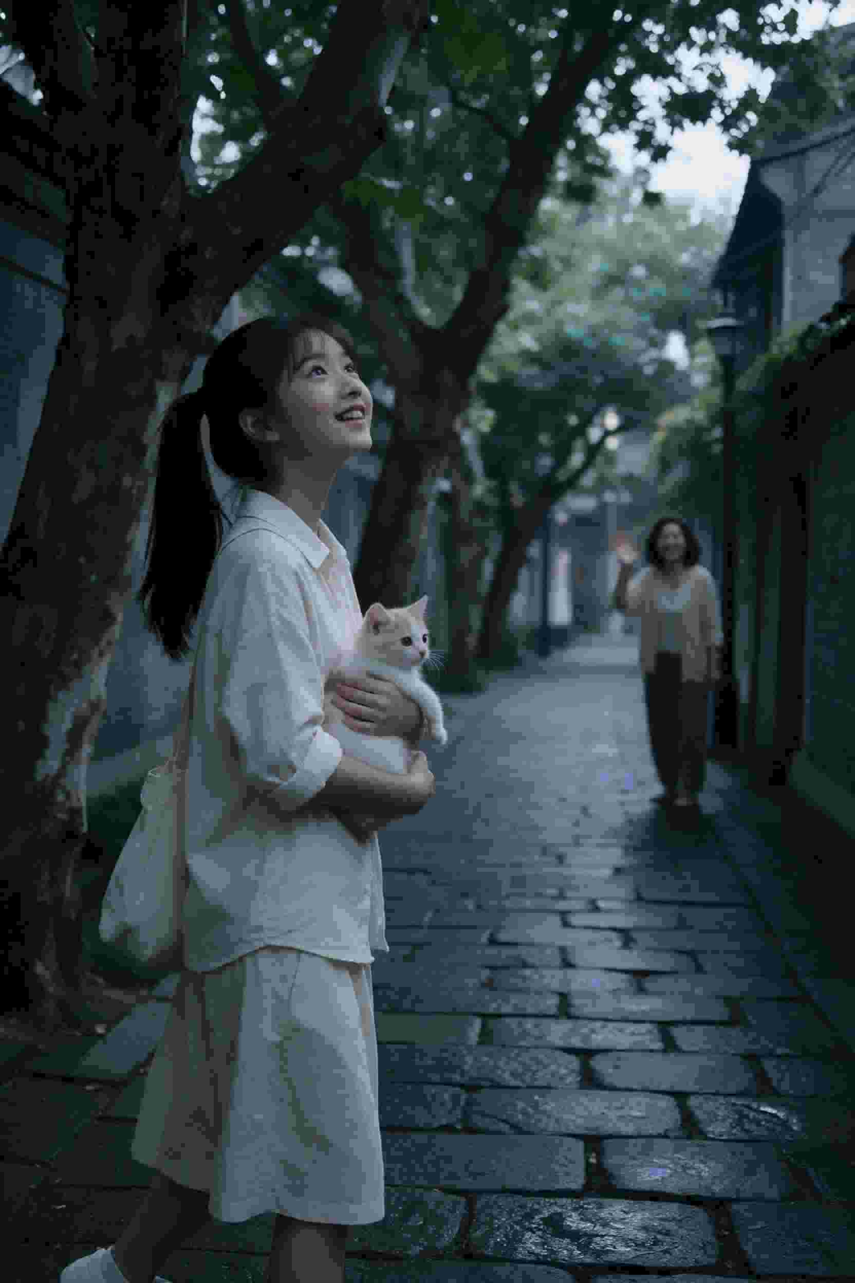 轮播